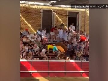 Toro en la grada