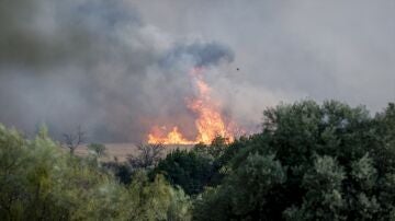 Incendio de Toledo