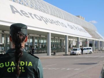 Detenido un hombre por agredir y morder a un agente tras perder su equipaje en el aeropuerto de Palma