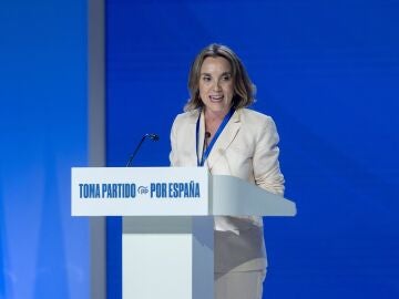 Gamarra asegura que el PP respeta la actuación judicial en el caso Montoro
