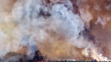 Imagen del incendio de Navaluenga
