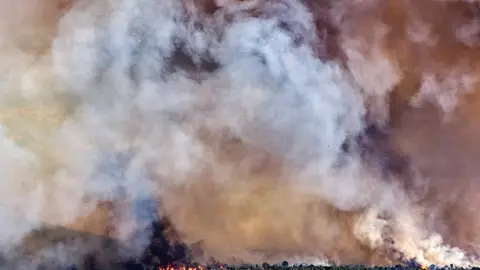 Imagen del incendio de Navaluenga Imagen del incendio de Navaluenga