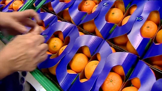 Naranjas Naranjas