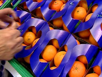 Naranjas