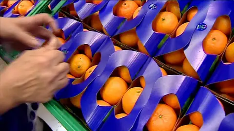 Naranjas Naranjas