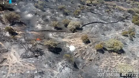 Reactivado el incendio de Navaluenga (Ávila) en el que trabajan una veintena de medios aéreos y terrestres Reactivado el incendio de Navaluenga (Ávila) en el que trabajan una veintena de medios aéreos y terrestres