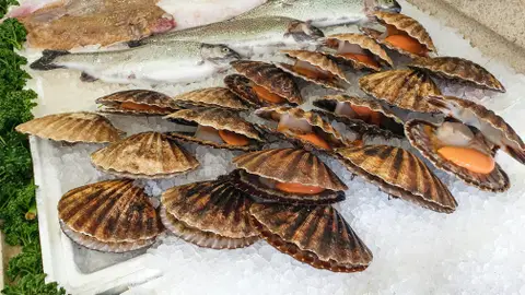 Volandeira Volandeira