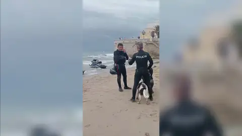 Rescatan a un perro de una zona rocosa de la playa de San Sebastián de Sitges Rescatan a un perro de una zona rocosa de la playa de San Sebastián de Sitges