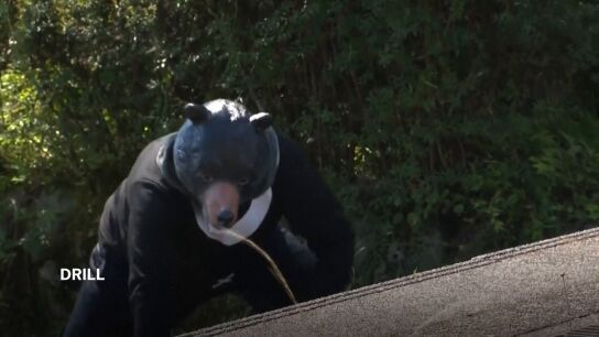 Un polic&iacute;a disfrazado de oso