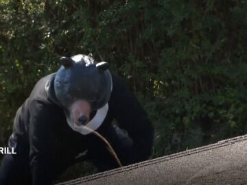 Un policía disfrazado de oso