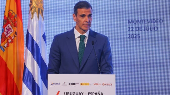 El presidente del Gobierno de Espa&ntilde;a, Pedro S&aacute;nchez