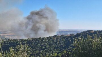 Imagen del incendio en Córdoba