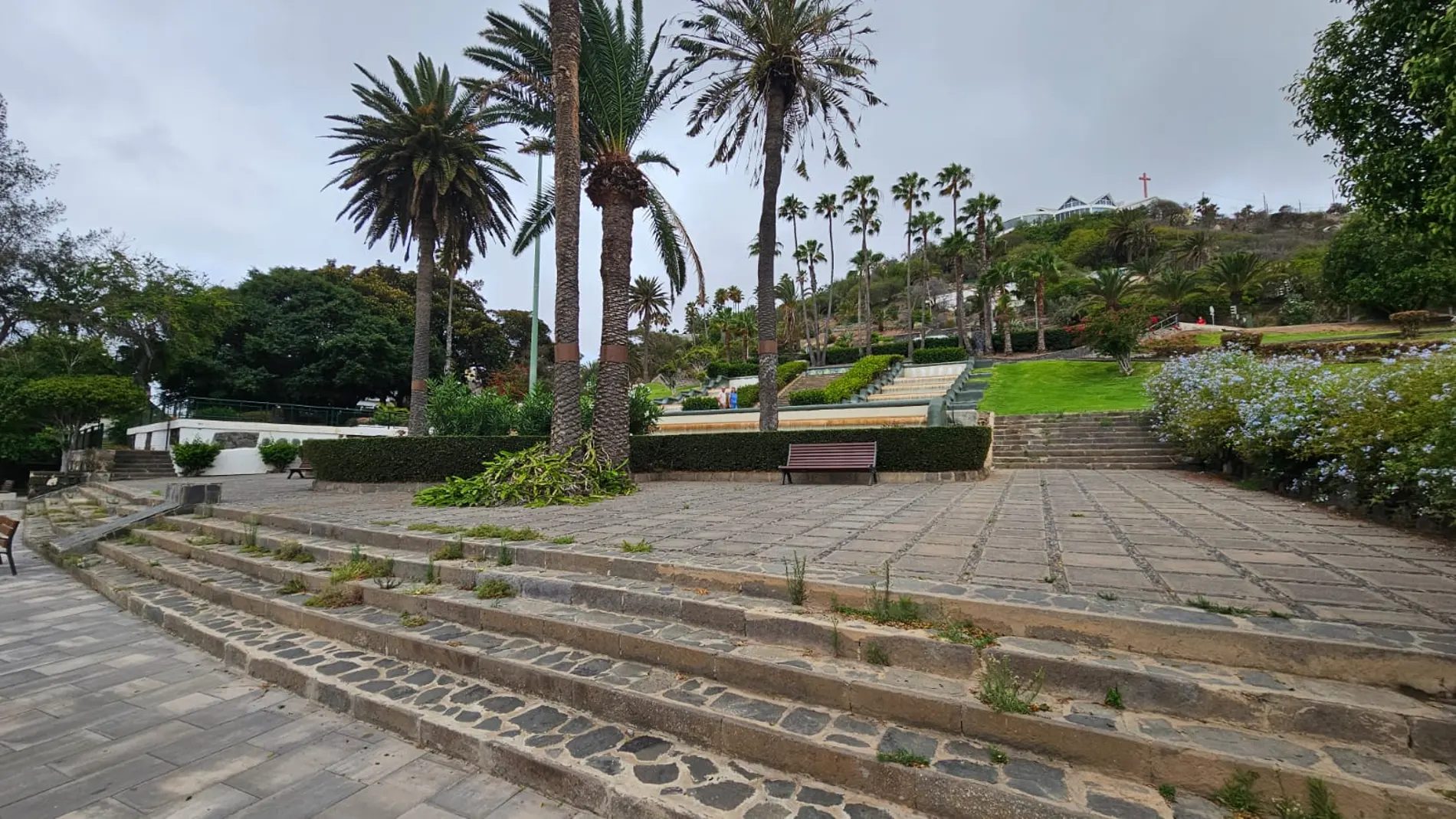 Investigan la aparición de un cadáver en descomposición en Las Palmas de Gran Canaria Investigan la aparición de un cadáver en descomposición en Las Palmas de Gran Canaria
