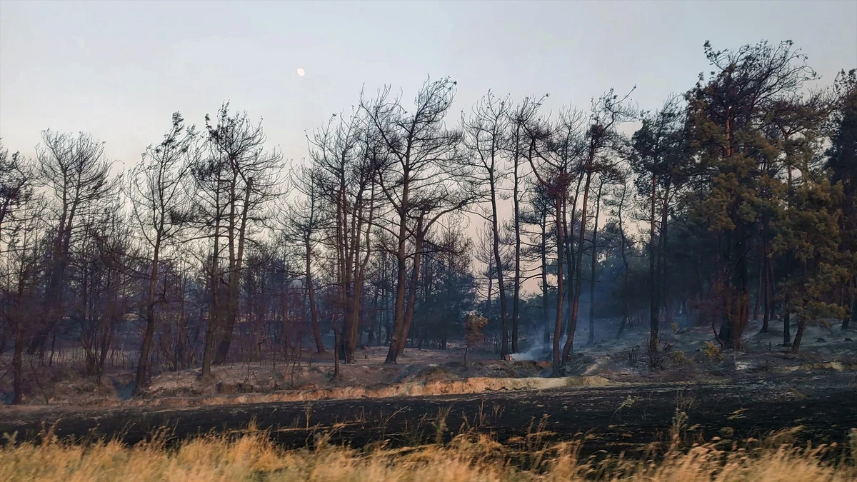 Mueren 15 bomberos en Turquía al quedar atrapados por un incendio forestal en Anatolia