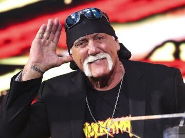 Hulk Hogan