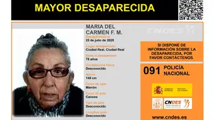 María del Carmen Ferrándiz, mujer desaparecida en Ciudad Real. María del Carmen Ferrándiz, mujer desaparecida en Ciudad Real.