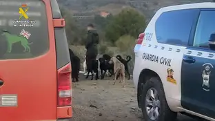Operación 'Sanctumer' Operación 'Sanctumer'