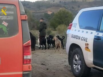 Operación 'Sanctumer'