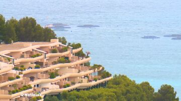 La Costa Blanca como alternativa a Baleares: "El 90% de los nuevos propietarios de casas de lujo son extranjeros"