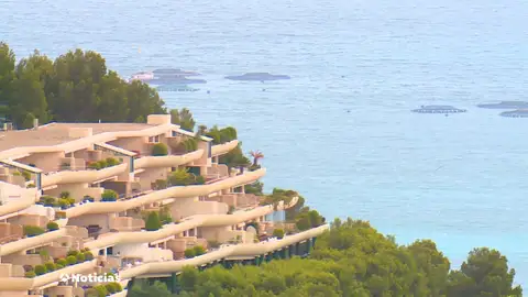 La Costa Blanca como alternativa a Baleares: "El 90% de los nuevos propietarios de casas de lujo son extranjeros" La Costa Blanca como alternativa a Baleares: "El 90% de los nuevos propietarios de casas de lujo son extranjeros"