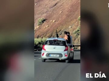 Las imágenes de la nueva grave imprudencia al volante en una carretera de Tenerife Las imágenes de la nueva grave imprudencia al volante en una carretera de Tenerife