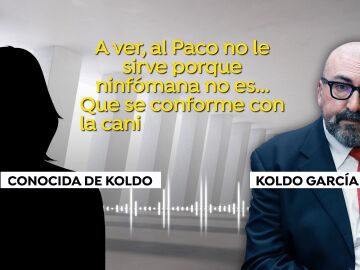 Audios de Koldo