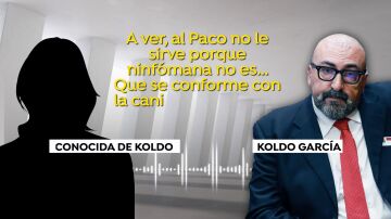 Audios de Koldo