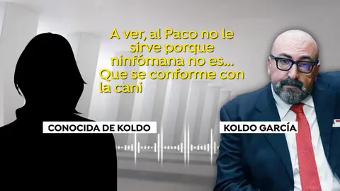 Audios de Koldo Audios de Koldo