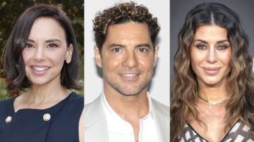David Bisbal
