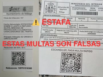 Ejemplos de denuncias fraudulentas - Ayuntamiento de Málaga