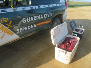 Captura de atún rojo de forma ilegal en Tarragona
