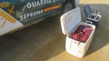 Captura de atún rojo de forma ilegal en Tarragona