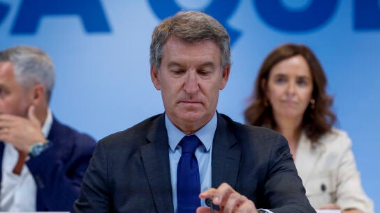 El l&iacute;der del PP, Alberto N&uacute;&ntilde;ez Feij&oacute;o 