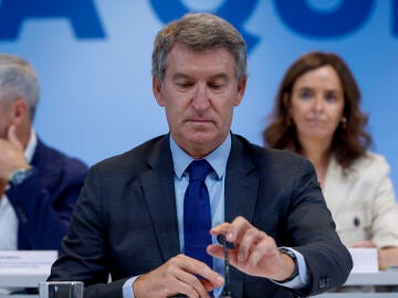 El líder del PP, Alberto Núñez Feijóo 