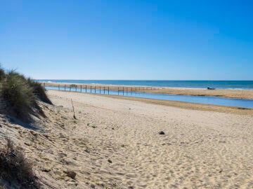 La playa de Matalascañas, en Huelva