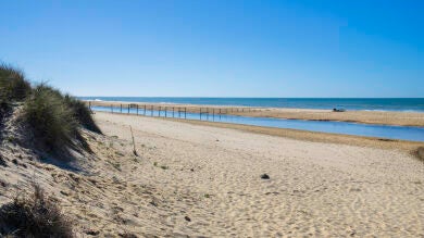 La playa de Matalascañas, en Huelva, presume este verano de aguas cálidas