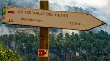 El incendio más grave en lo que va de verano en Castilla y León