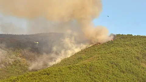 Efectivos del incendio en Las Hurdes (Cáceres) se centran en Avellanar, tras consolidar el 70% del perímetro Efectivos del incendio en Las Hurdes (Cáceres) se centran en Avellanar, tras consolidar el 70% del perímetro