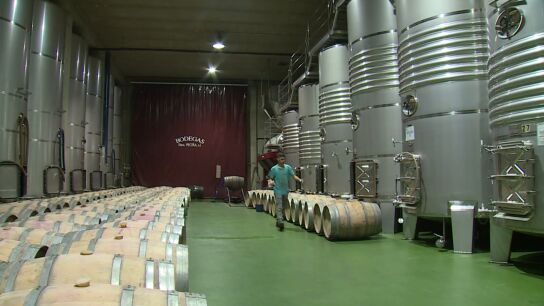F&aacute;brica vino