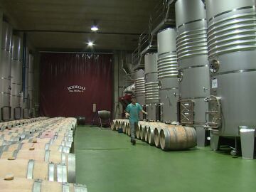 Fábrica vino