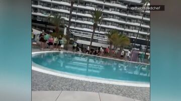 Imágenes de la 'guerra' de las hamacas en un hotel de Tenerife