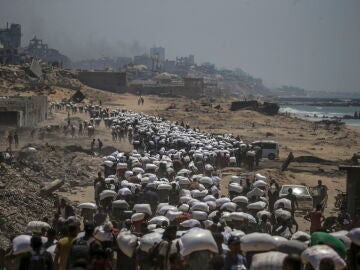 Al menos 13 muertes en Gaza por tiroteos en puntos de reparto de comida