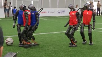 Robots futbol