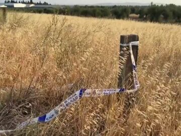 Encuentran el cadáver de una mujer en Don Benito, Badajoz: habían denunciado su desaparición