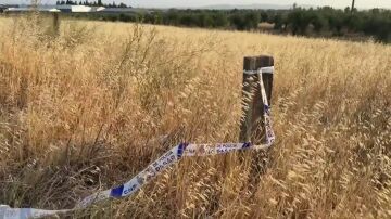 Encuentran el cadáver de una mujer en Don Benito, Badajoz: habían denunciado su desaparición