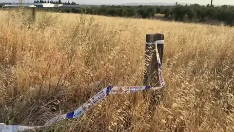 Encuentran el cadáver de una mujer en Don Benito, Badajoz: habían denunciado su desaparición Encuentran el cadáver de una mujer en Don Benito, Badajoz: habían denunciado su desaparición
