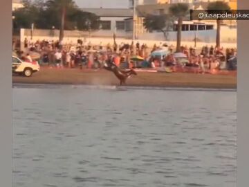 Caballo desbocado Sanlúcar
