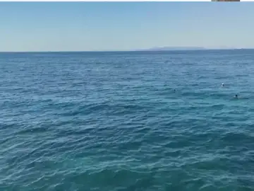 Mar de Alborán Mar de Alborán