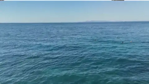 Mar de Alborán Mar de Alborán