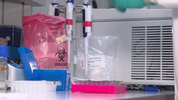 Investigación alzhéimer